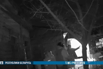 Пытался загрызть собаку: в Хойникском районе милиционеры обезвредили волка
