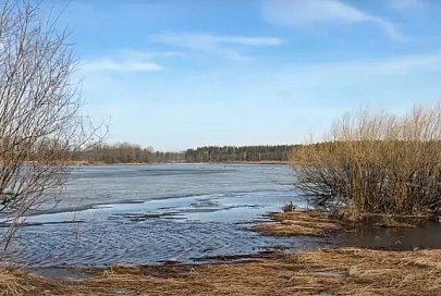 В Лоевском районе три рыбака провалились под лёд