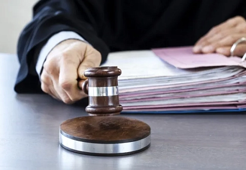 Суд вынес приговор трем жителям Добрушского района, которые умышленно скрывали количество умерших животных
