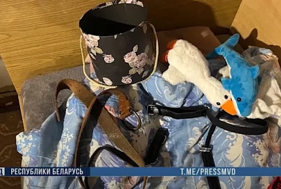 Гомельчанка задержана за распространение порнографии