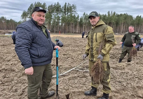 С заботой о главном природном богатстве. Первый заместитель председателя облисполкома Дмитрий Петрожицкий принял участие в посадке леса в Жлобинском районе