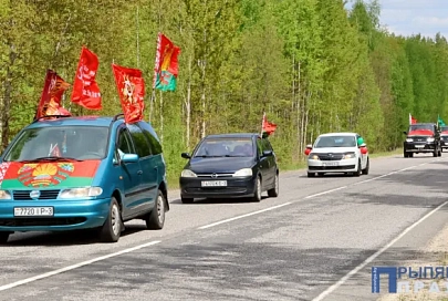 Автопробег памяти, посвященный Великой Победе, прошел на Наровлянщине