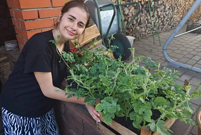 Все идет по плану: школьница из Гомельского района выращивает арбузы из подаренных Президентом семян