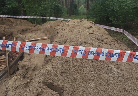 До последнего прикрывали собой детей. В Ветковском районе обнаружили место убийства мирных жителей в годы Великой Отечественной войны