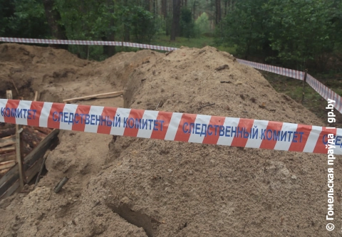 До последнего прикрывали собой детей. В Ветковском районе обнаружили место убийства мирных жителей в годы Великой Отечественной войны