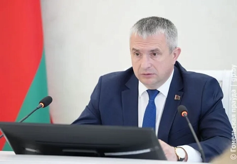 Не только нарубить дров, но и продать. На аппаратном совещании в облисполкоме рассмотрели результаты лесовосстановительных работ и реализации древесины