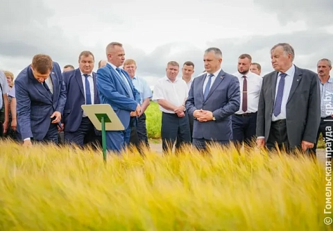 Этим культурам кормить наш край. В научно-практическом центре НАН Беларуси по земледелию в Жодино прошел семинар-учеба по развитию АПК Гомельщины