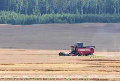 Лукашенко в полях инспектирует ход уборочной кампании