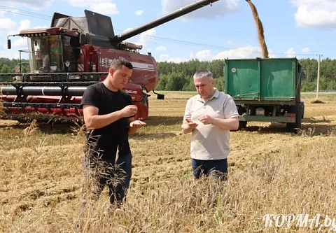 Уборочная страда - не время расслабляться. Иван Крупко посетил Чечерский, Рогачевский и Кормянский районы