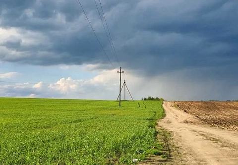Исполнение законодательства о мелиорации и охране земель: органы прокуратуры Гомельской области потребовали устранить нарушения