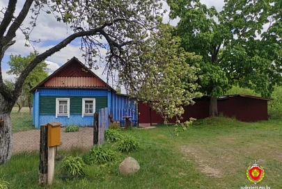 В Буда-Кошелевском районе из дома пенсионера украли портативную колонку