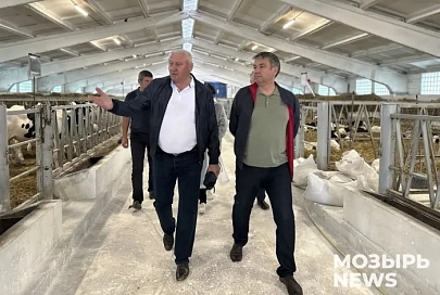 Заместитель Премьер-министра Юрий Шулейко посетил животноводческие объекты сельскохозфилиала ОАО «Мозырьсоль»