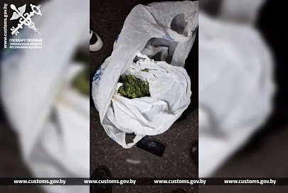 Жлобинчанина с марихуаной задержали при выезде из Беларуси