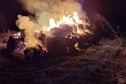 В Добрушском районе на пожаре спасли 72 тонны сена