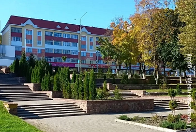 В городе над Припятью этой осенью высадят более четырех тысяч молодых деревьев
