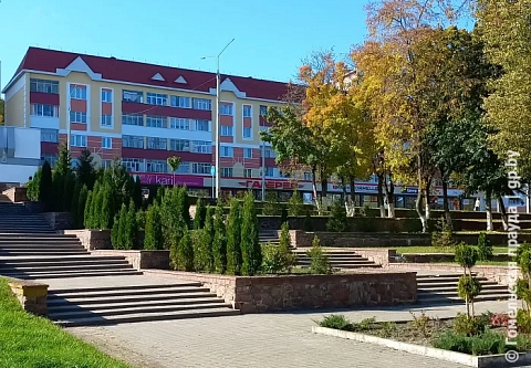 В городе над Припятью этой осенью высадят более четырех тысяч молодых деревьев