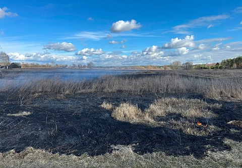 С начала года на Гомельщине произошло 1154 пожара в природных экосистемах