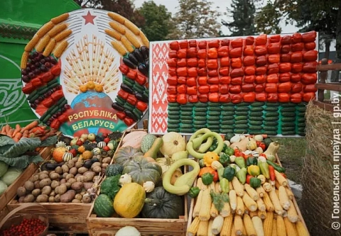 В ритме праздничного настроения. Участников фестиваля «Дажынкі-2025» ожидала насыщенная программа