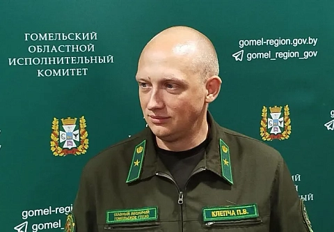 Рады любой помощи. В пресс-центре облисполкома обсудили посадку леса в осенний период