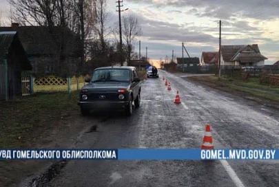 В Жлобинском районе 19-летняя водитель насмерть сбила 85-летнего пешехода
