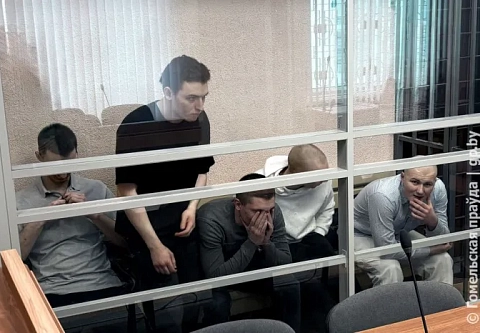 Пустоту в голове заполнил неонацизм: в Гомеле вынесен приговор членам мозырской шайки скинхедов-экстремистов