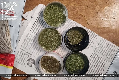 Гомельские таможенники изъяли у жителя Жлобина около 2 кг марихуаны