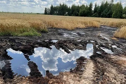 В Калинковичском районе неправильное хранение удобрений в одном из хозяйств привело к загрязнению почвы