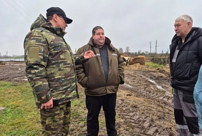 В Гомельской области выявлены нарушения на животноводческих объектах