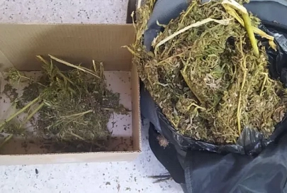 У жителя Речицы изъяли более килограмма заготовленной марихуаны