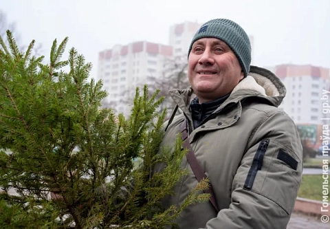 Где в Гомеле можно купить живые ели и сосенки
