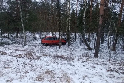 В Светлогорском районе автомобиль съехал в кювет