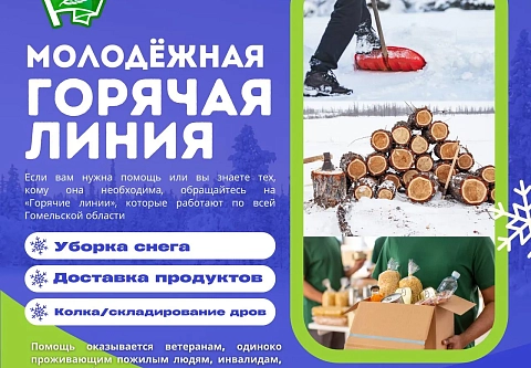 Уборка снега, колка дров, доставка продуктов: в БРСМ работают горячие линии для одиноко проживающих пожилых людей