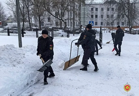 Судебные эксперты Гомельщины вышли на борьбу со снежной стихией