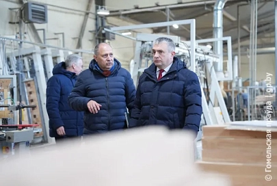 Частник стал самым успешным в районе: губернатор ознакомился с производством мебели в Ельске