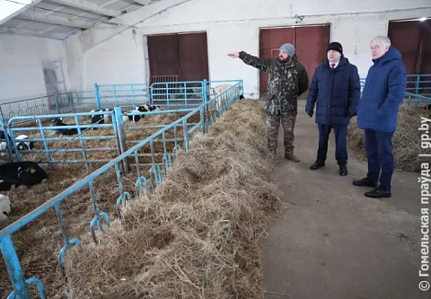 В графике председателя облисполкома Ивана Крупко – молочно-товарный комплекс «Движки-2» Ельского района