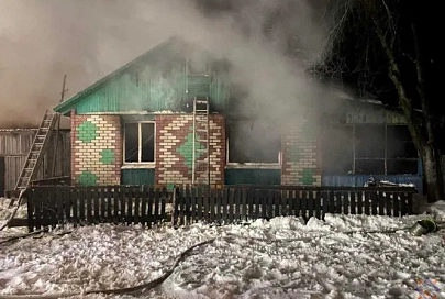 В Рогачевском районе на пожаре погибла хозяйка дома