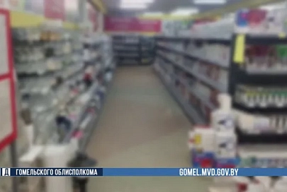 В Рогачевском районе заведующая магазином похищала деньги на погашение кредитов и личные нужды