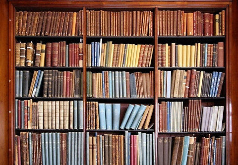 Источник света и надежды. Благотворительная акция «Подари православную книгу» проходит в Гомельской епархии