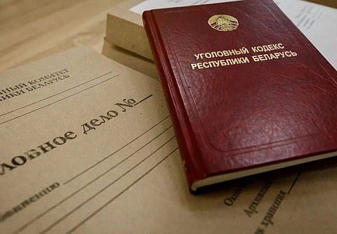 Нагадала. Вынесен приговор молодой маме, которая обманным путем завладела почти 15 тысячами рублей 