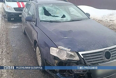 В Речицком районе под колесами Volkswagen погиб 14-летний подросток