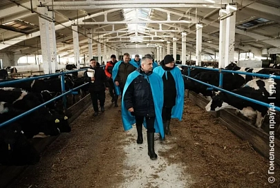 Не обошлось без критики. Губернатор Иван Крупко проверил санитарное состояние животноводческих комплексов в Рогачевском районе 