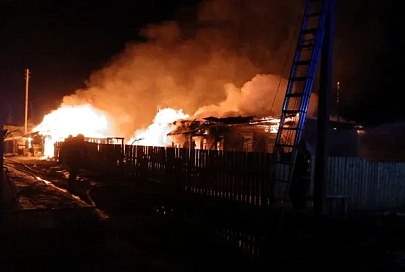 В Житковичском районе на пожаре погиб хозяйн дома 