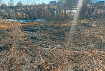 На пожаре в Буда-Кошелевском районе травмирован мужчина