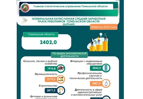 Сколько зарабатывают жители региона? Ответ дали в Главном статистическом управлении Гомельской области