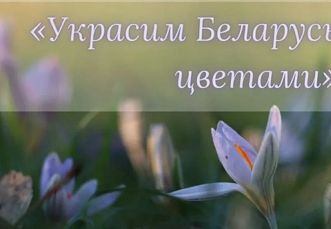Министерство образования приглашает школьников принять участие в конкурсе по благоустройству и озеленению 