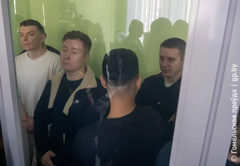 Семейный подряд привел в колонию: в Гомеле вынесли приговор по громкому делу о мошенничестве