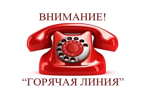 В Министерстве образования работает горячая телефонная линия по вопросам организации вступительной кампании в 2026 году