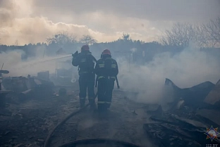 Подразделения МЧС ликвидировали пожар в Гомельском районе
