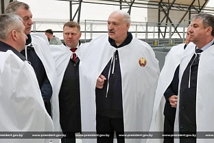 Рациональный подход с комфортом для телят: Александр Лукашенко оценил новые коровники в «Агро-Лясковичах»