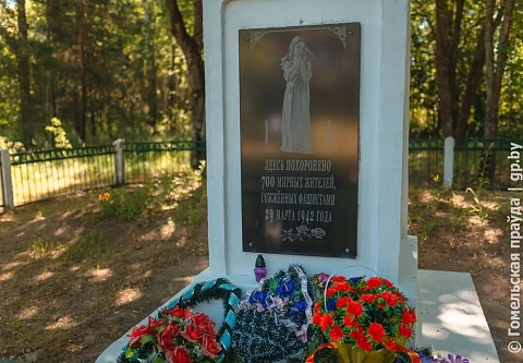Согнали в сарай и сожгли. В годы Великой Отечественной войны в Петриковском районе немецко-фашистские захватчики уничтожили 101 деревню